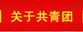 關(guān)于共青團